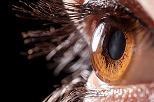 Closeup of Eye